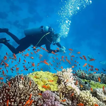 公寓 Vue Splendide - Situe A 50 Metres Du Bord De Et 2 Minutes Des Plages - Bandolina 邦多勒