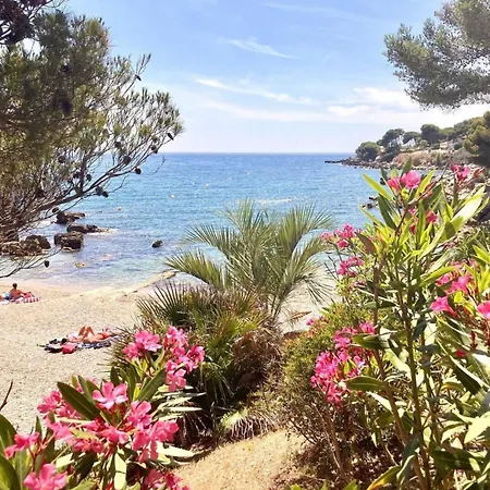 公寓 Vue Splendide - Situe A 50 Metres Du Bord De Et 2 Minutes Des Plages - Bandolina *