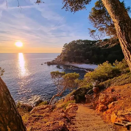 Apartment Vue Splendide - Situe A 50 Metres Du Bord De Et 2 Minutes Des Plages - Bandolina *